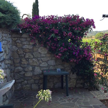 Studio-Appartment In Landhaus Mit Meerblick Porto Azzurro Luaran gambar