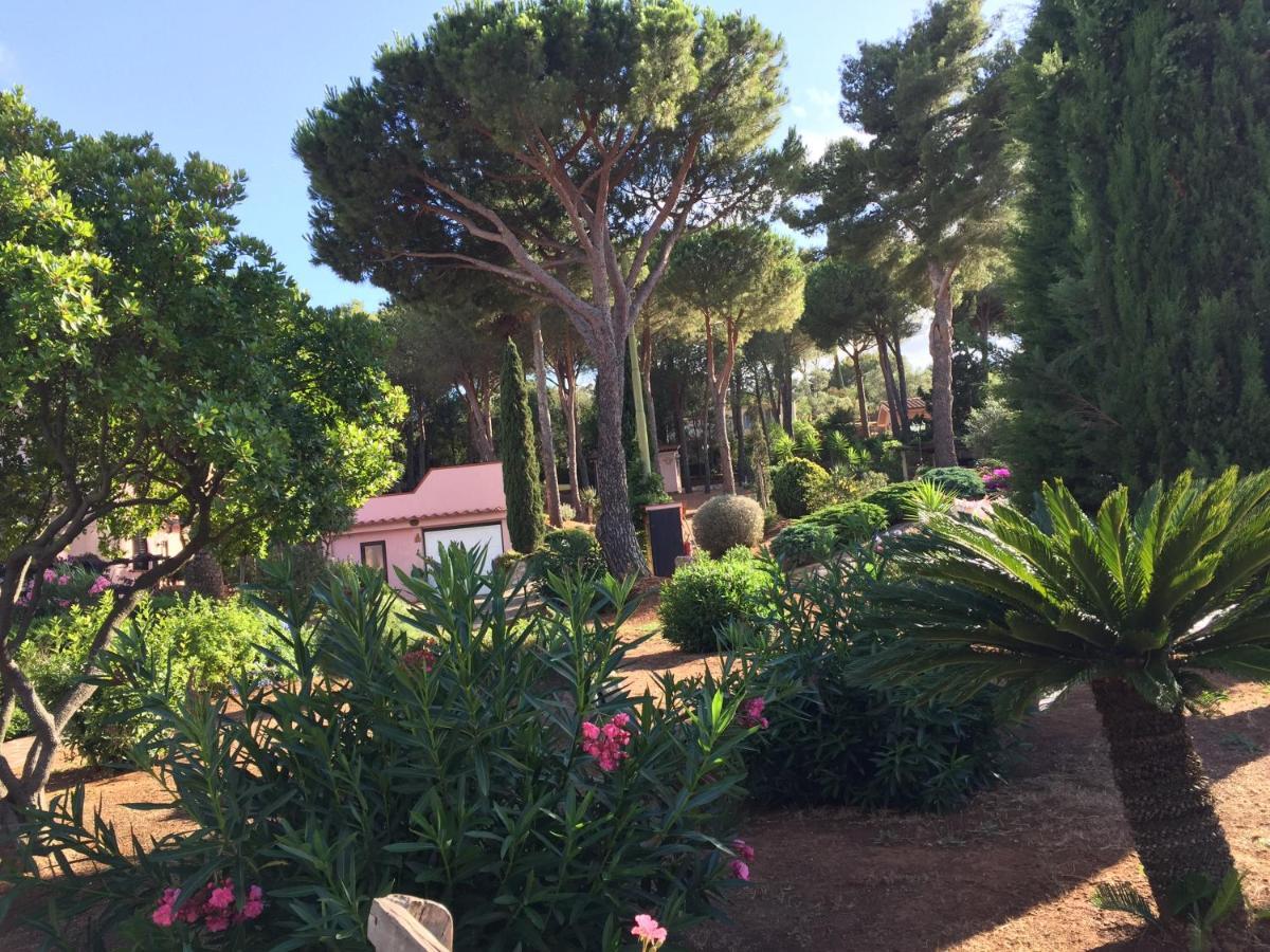 Studio-Appartment In Landhaus Mit Meerblick Porto Azzurro Luaran gambar